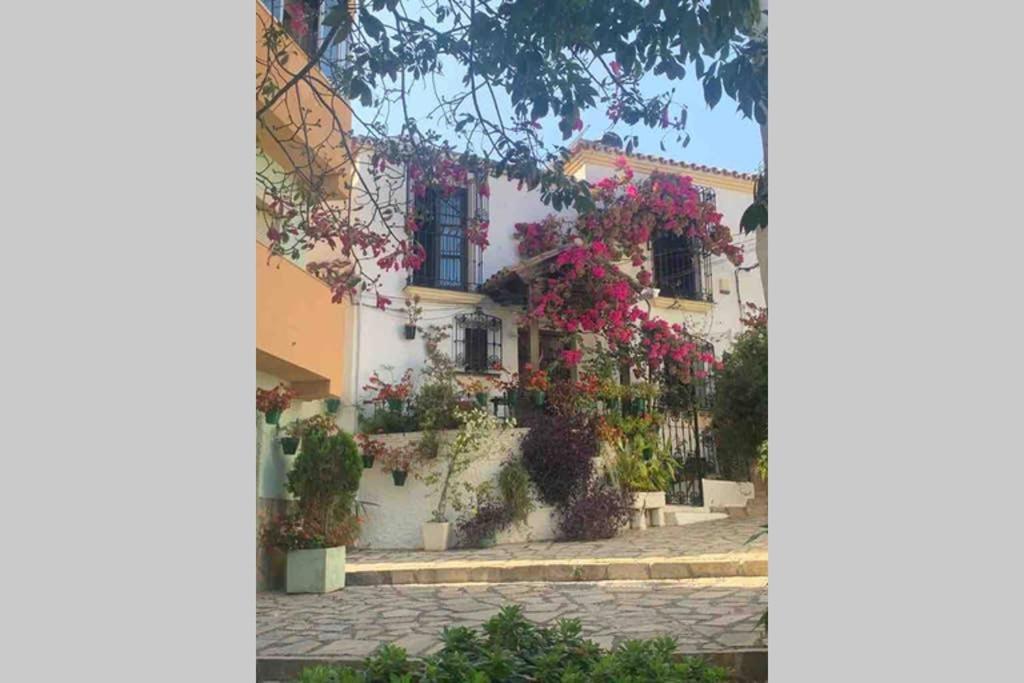 Appartement Palmeras Puerto Paraiso Естепона Екстер'єр фото